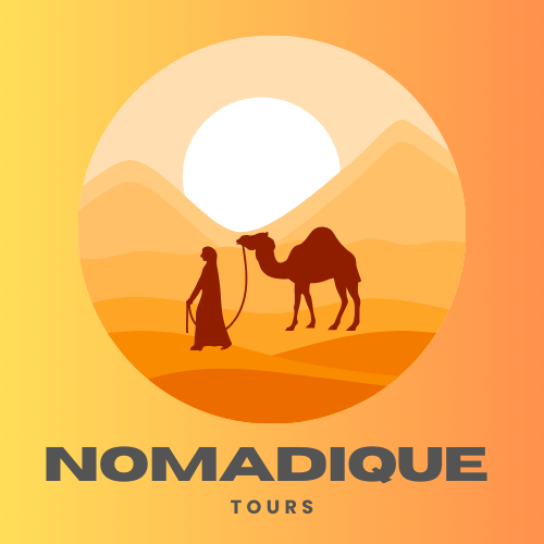 logo Nomadique tours